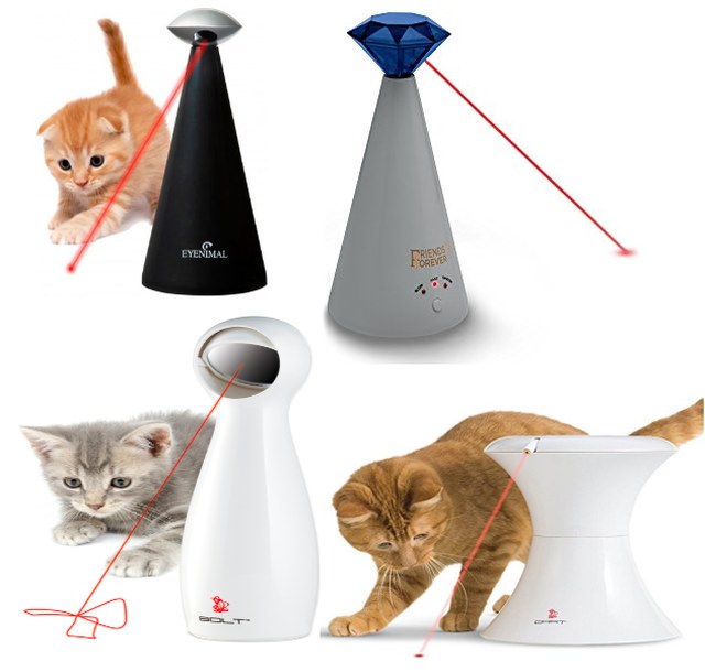 Testujemy: jak bezpiecznie bawić się z kotem laserowym wskaźnikiem?