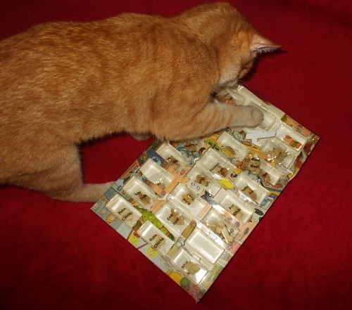 Testujemy: kalendarz adwentowy dla kota
