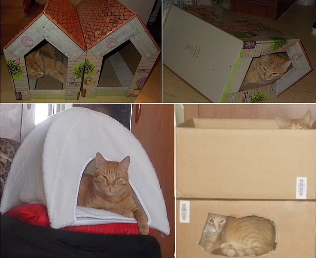 Testujemy: domek o jakim marzy kot