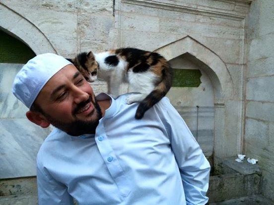Meczet w Stambule gościnny dla kotów