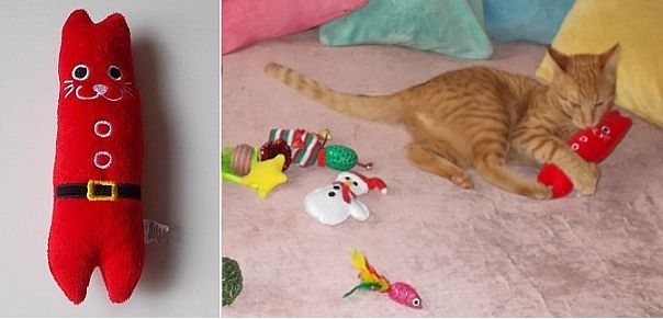 Koci Mikołaj: czy kotom robi się świąteczne prezenty?